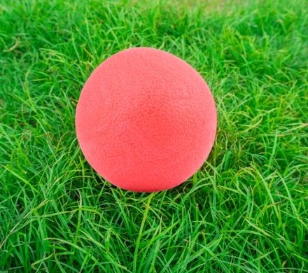 Kickball in the grass